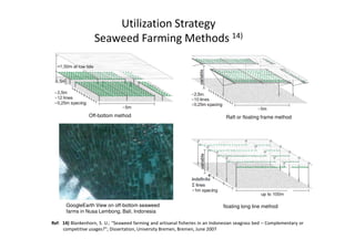 Utilization Strategy
Seaweed Farming Methods 14)
Off-bottom method Raft or floating frame method
Ref: 14) Blankenhorn, S. U.; “Seaweed farming and artisanal fisheries in an Indonesian seagrass bed – Complementary or
competitive usages?”; Dissertation, University Bremen, Bremen, June 2007
With other floating material
for sufficient buoyancy
GoogleEarth View on off-bottom seaweed
farms in Nusa Lembong, Bali, Indonesia
floating long line method
 