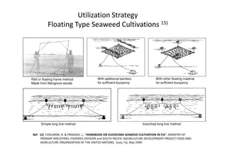 Utilization Strategy
Floating Type Seaweed Cultivations 15)
Raft or floating frame method With additional bamboo With other floating material
Ref: 15) FOSCARINI, R. & PRAKASH, J.; “HANDBOOK ON EUCHEUMA SEAWEED CULTIVATION IN FIJI”; MINISTRY OF
PRIMARY INDUSTRIES, FISHERIES DIVISION and SOUTH PACIFIC AQUACULTURE DEVELOPMENT PROJECT FOOD AND
AGRICULTURE ORGANIZATION OF THE UNITED NATIONS, Suva, Fiji, May 1990
Raft or floating frame method
Made from Mangrove woods
With additional bamboo
for sufficient buoyancy
With other floating material
for sufficient buoyancy
Simple long line method branched long line method
 