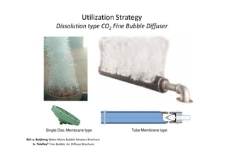 Utilization Strategy
Dissolution type CO2 Fine Bubble Diffuser
Tube Membrane typeSingle Disc Membrane type
Ref: a. Botjheng Water Micro Bubble Aerators Brochure
b. Tideflex® Fine Bubble Air Diffuser Brochure
 