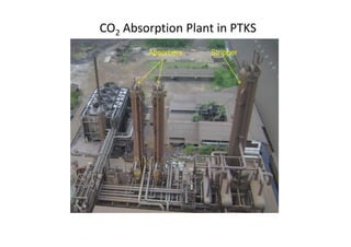 CO2 Absorption Plant in PTKS
StripperAbsorbers
 