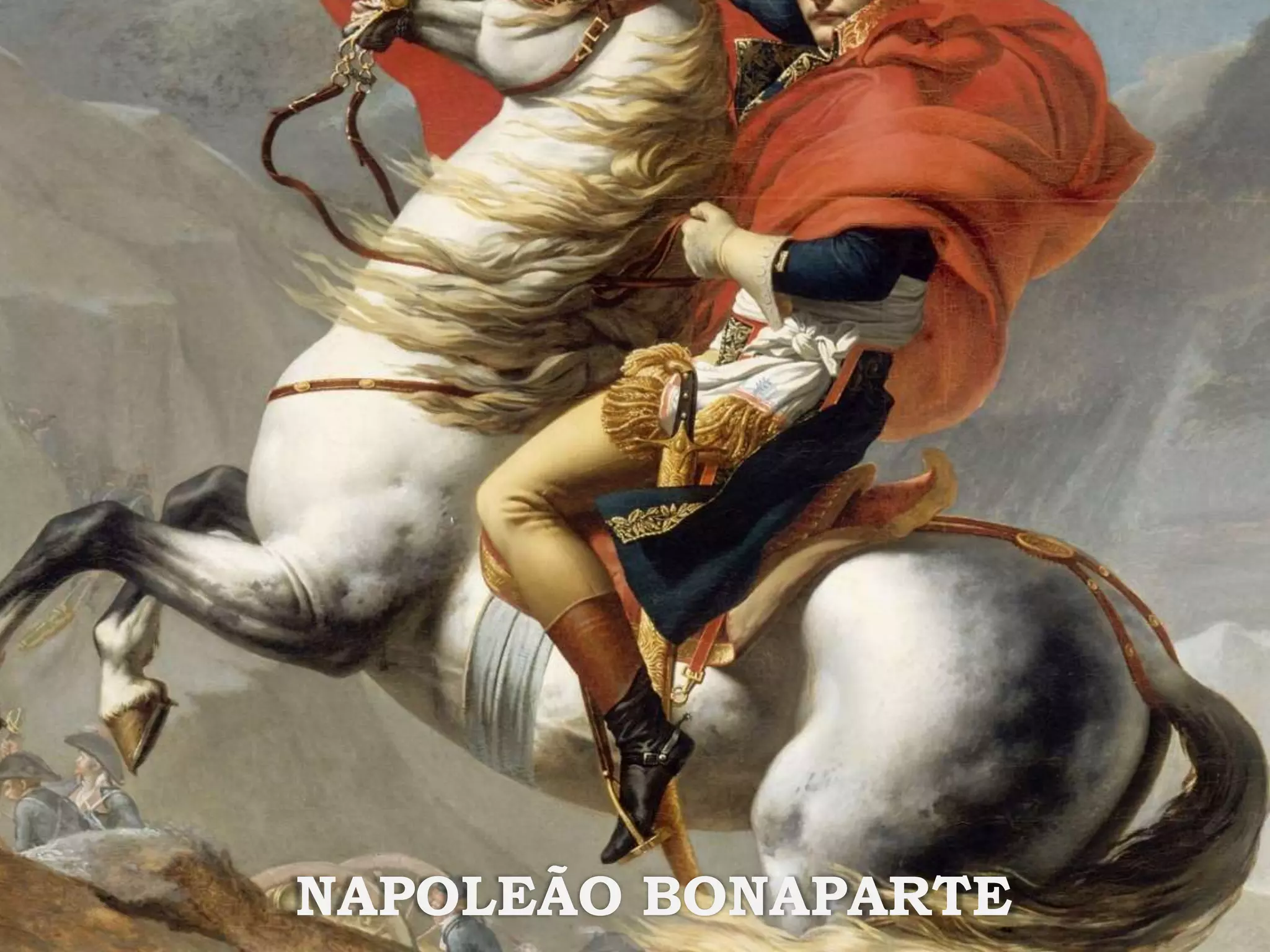 20NAPOLEÃO BONAPARTE
 