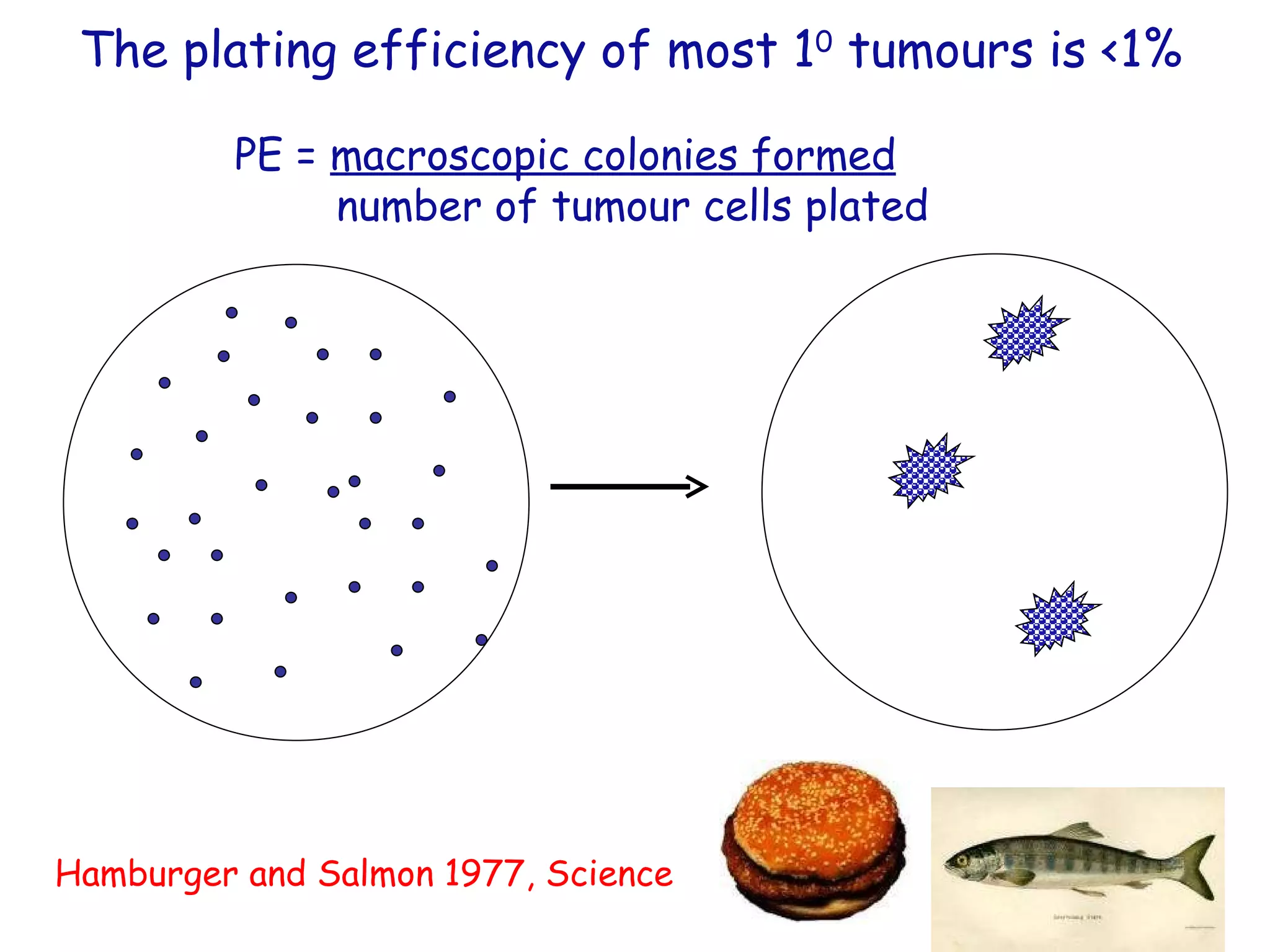 Hamburger and Salmon 1977, Science The plating efficiency of most 1 0  tumours is <1% PE =  macroscopic colonies formed number of tumour cells plated 