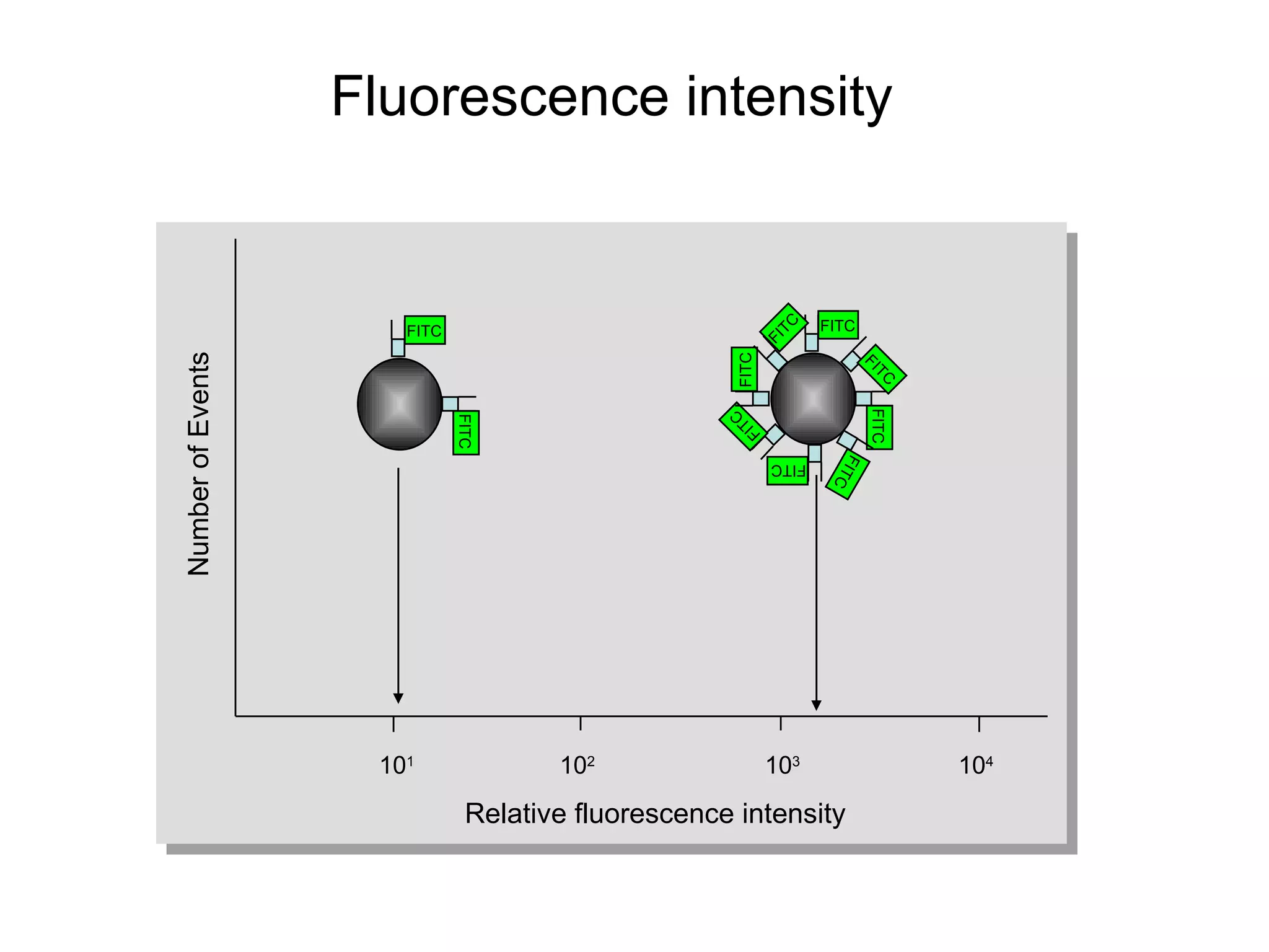 Fluorescence intensity 10 1 10 4 10 3 10 2 Relative fluorescence intensity Number of Events FITC FITC FITC FITC FITC FITC FITC FITC FITC FITC 