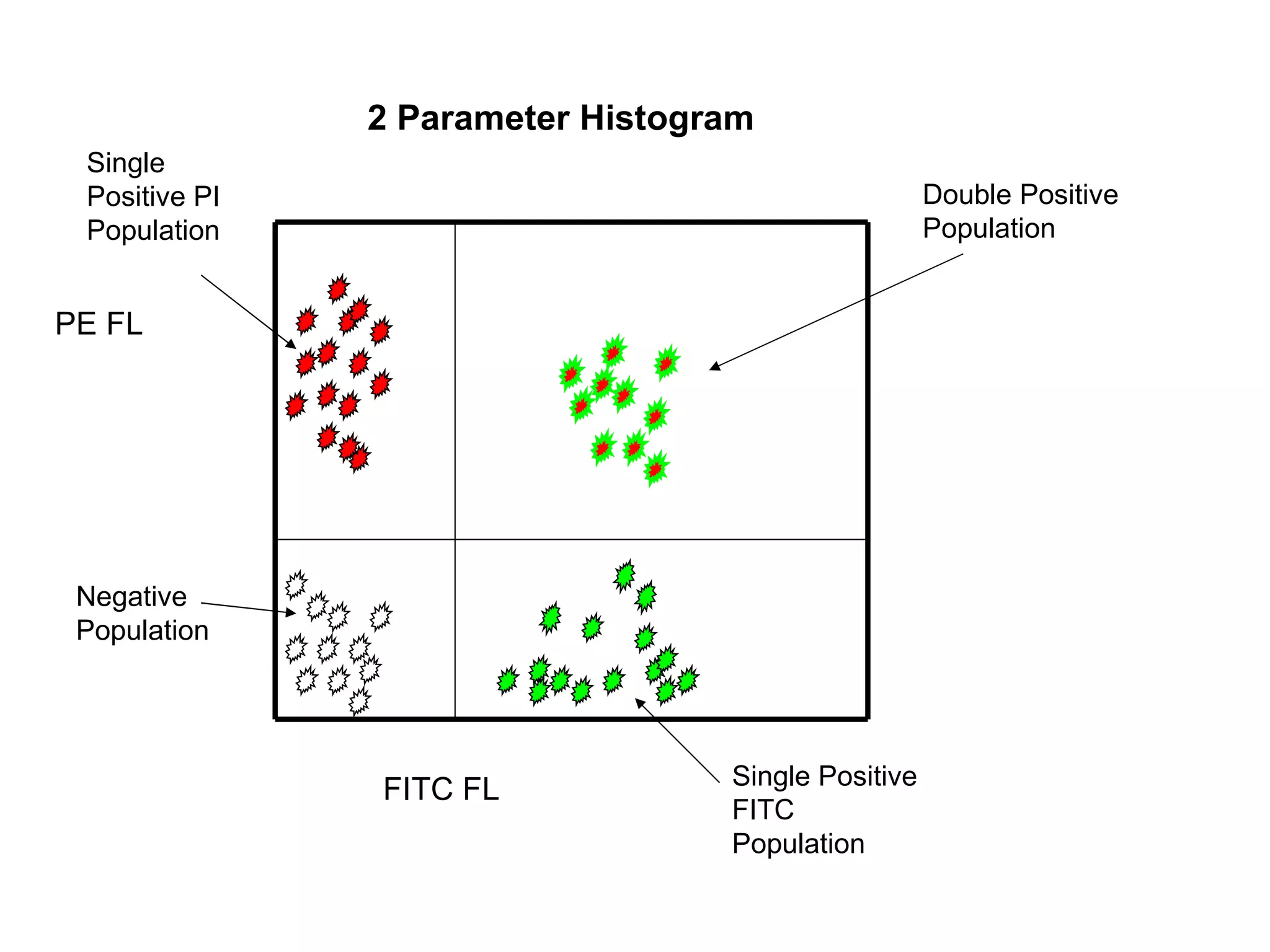 2 Parameter Histogram FITC FL PE FL Negative Population Single Positive FITC Population Single Positive PI Population Double Positive Population 