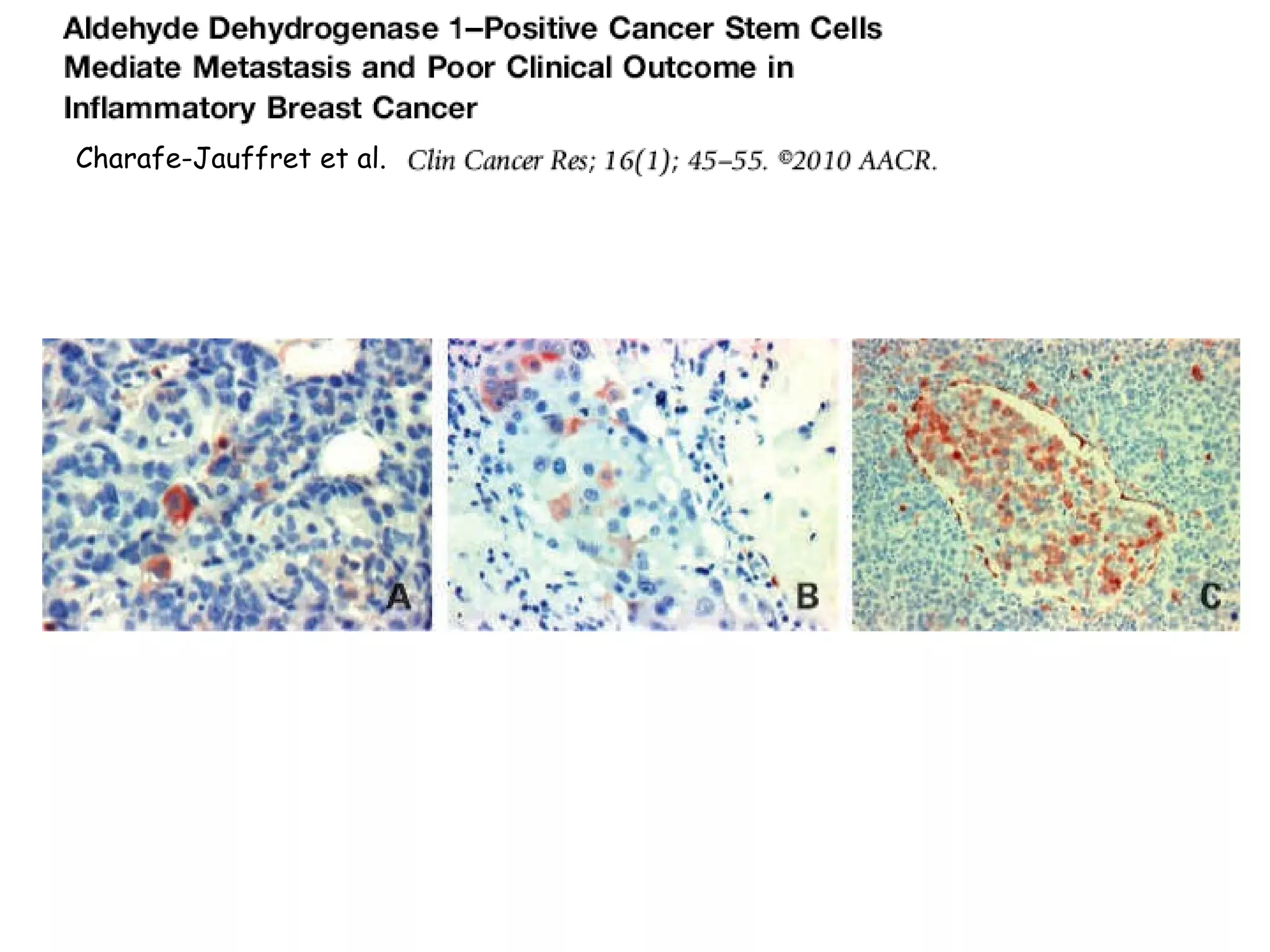 Charafe-Jauffret et al.  