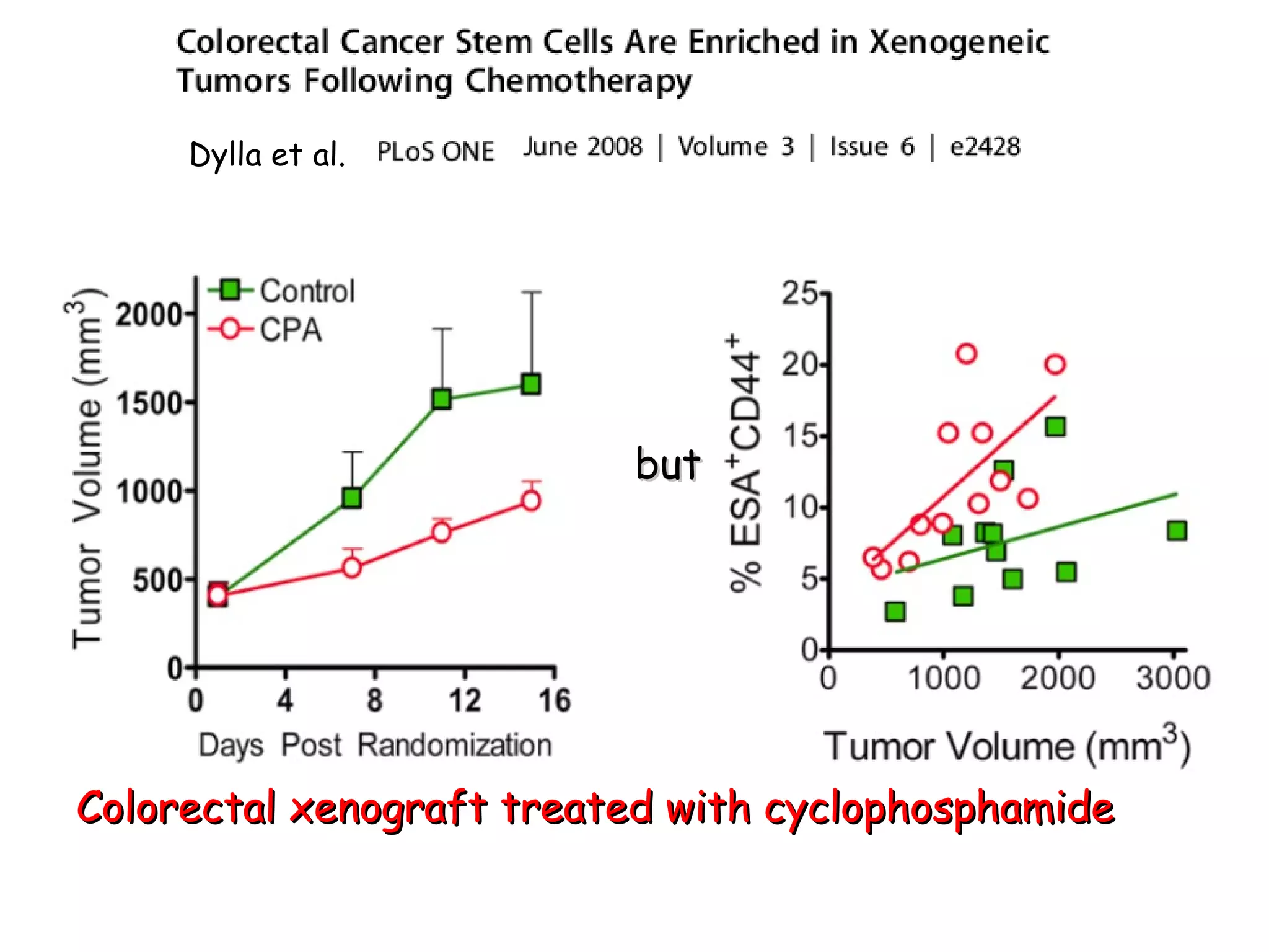 Colorectal xenograft treated with cyclophosphamide but  Dylla et al.  
