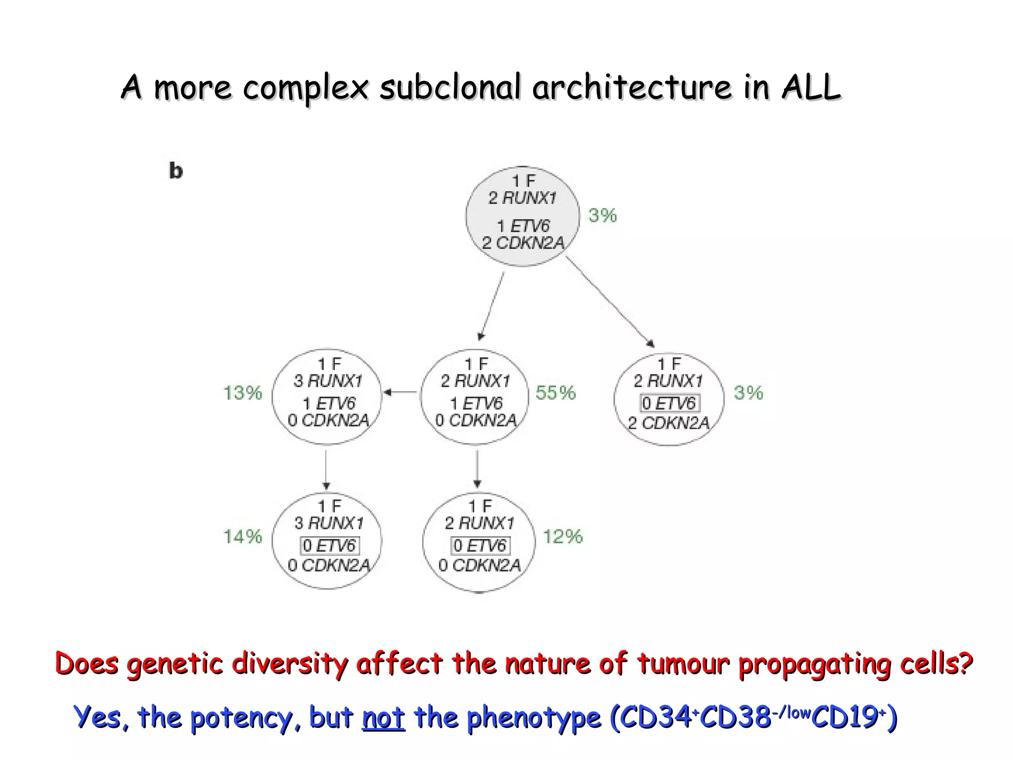 A more complex subclonal architecture in ALL Does genetic diversity affect the nature of tumour propagating cells? Yes, the potency, but  not  the phenotype (CD34 + CD38 -/low CD19 + ) 