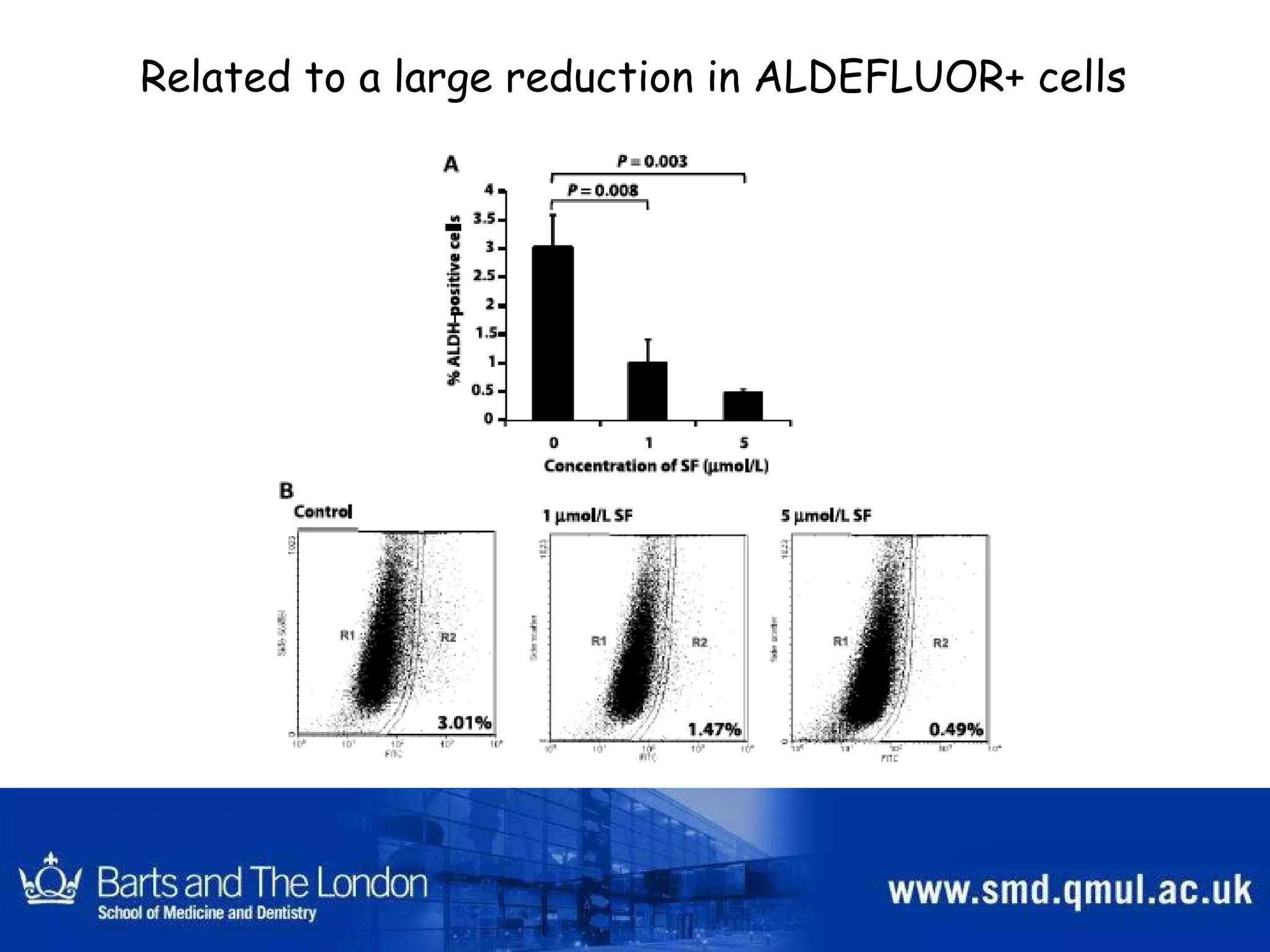 Related to a large reduction in ALDEFLUOR+ cells 
