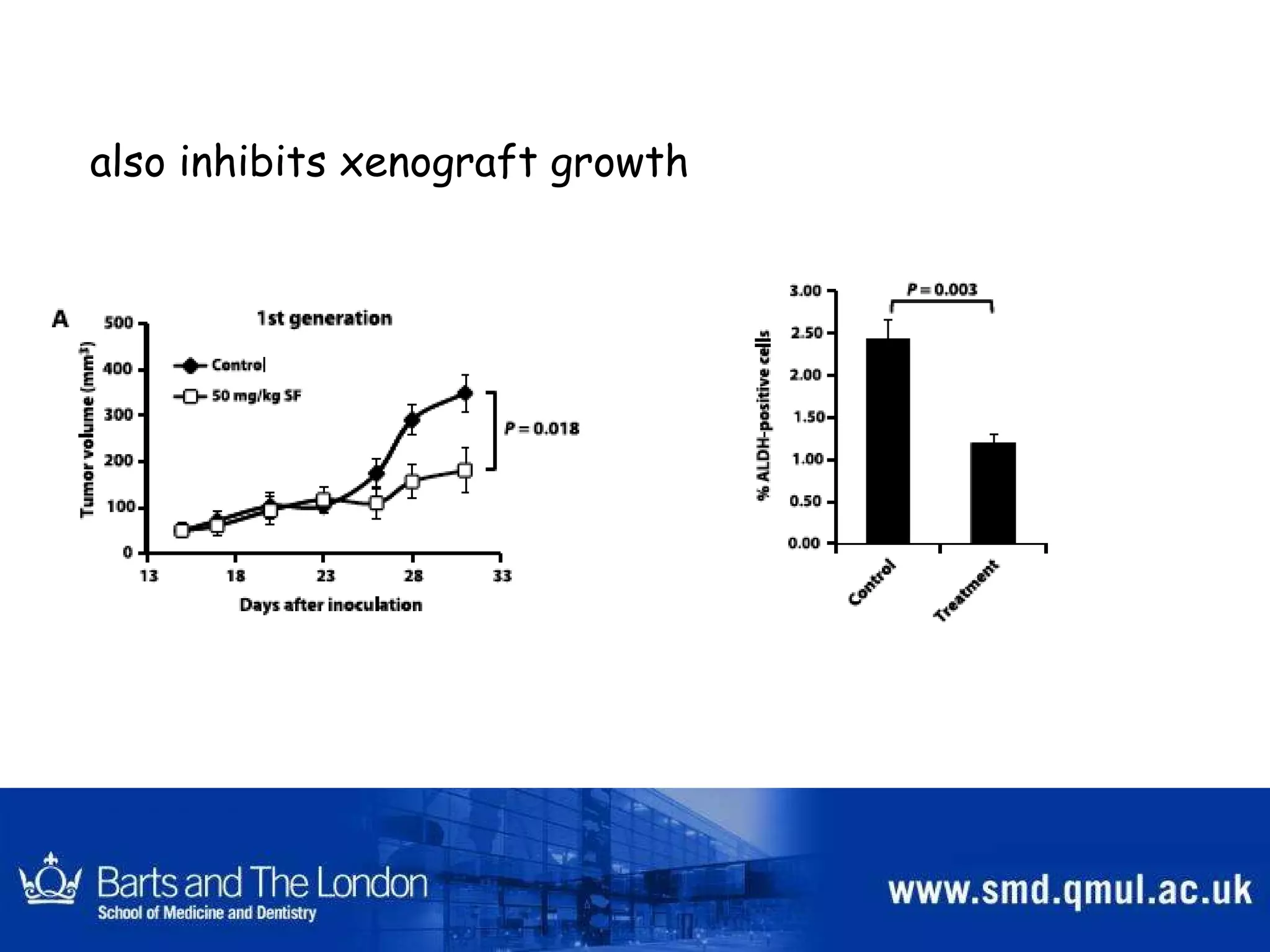 also inhibits xenograft growth 