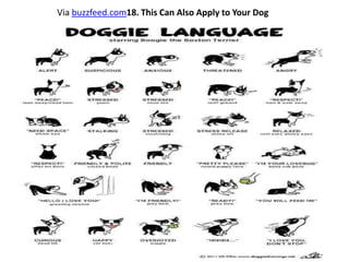 Via buzzfeed.com18. This Can Also Apply to Your Dog
 