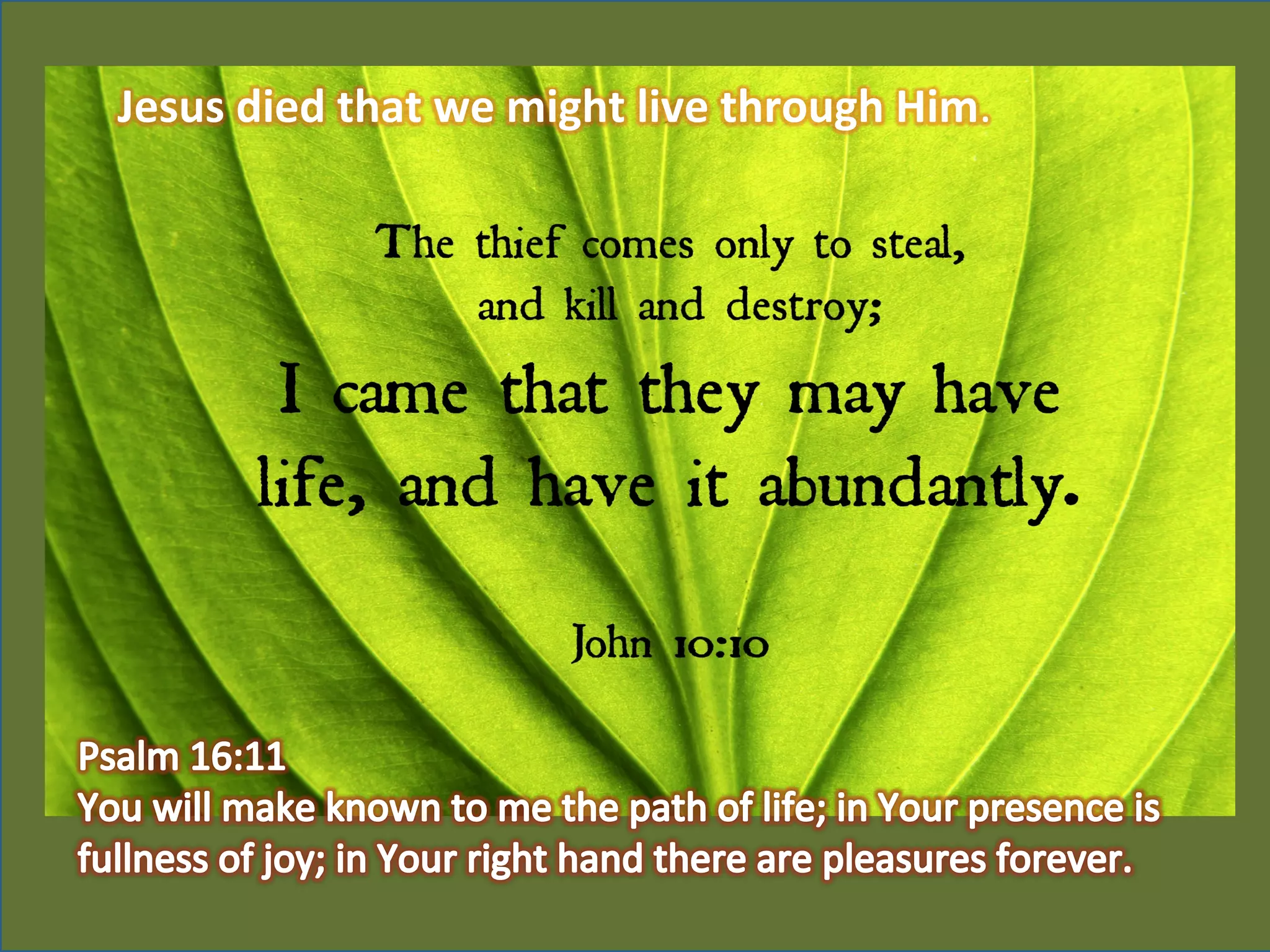 Jesus	
  died	
  that	
  we	
  might	
  live	
  through	
  Him.	
  	
  
 