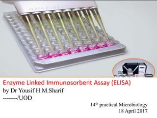 Enzyme Linked Immunosorbent Assay (ELISA)
by Dr Yousif H.M.Sharif
-------/UOD
14th practical Microbiology
18 April 2017
 