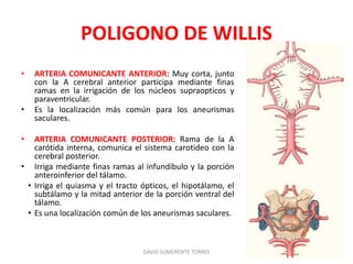 POLIGONO DE WILLIS
• ARTERIA COMUNICANTE ANTERIOR: Muy corta, junto
con la A cerebral anterior participa mediante finas
ramas en la irrigación de los núcleos supraopticos y
paraventricular.
• Es la localización más común para los aneurismas
saculares.
• ARTERIA COMUNICANTE POSTERIOR: Rama de la A
carótida interna, comunica el sistema carotideo con la
cerebral posterior.
• Irriga mediante finas ramas al infundíbulo y la porción
anteroinferior del tálamo.
• Irriga el quiasma y el tracto ópticos, el hipotálamo, el
subtálamo y la mitad anterior de la porción ventral del
tálamo.
• Es una localización común de los aneurismas saculares.
DAVID SUMERENTE TORRES
 
