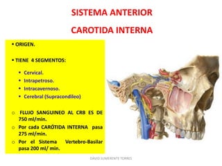 SISTEMA ANTERIOR
CAROTIDA INTERNA
 ORIGEN.
 TIENE 4 SEGMENTOS:
 Cervical.
 Intrapetroso.
 Intracavernoso.
 Cerebral (Supracondileo)
o FLUJO SANGUINEO AL CRB ES DE
750 ml/min.
o Por cada CARÓTIDA INTERNA pasa
275 ml/min.
o Por el Sistema Vertebro-Basilar
pasa 200 ml/ min.
DAVID SUMERENTE TORRES
 