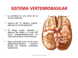 SISTEMA VERTEBROBASILAR
• La vertebral es una rama de la
arteria subclavia.
• Ingresa por el agujero magno.
Aparece en la fosa posterior .
• Se dirige arriba adelante y
adentro del bulbo y a nivel del
surco bulboprotuberancial se
unen formando el Tronco Basilar.
• Sigue subiendo 3 cm y en el surco
pontomesencefálico termina
dando las arterias cerebrales
posteriores.
DAVID SUMERENTE TORRES
 