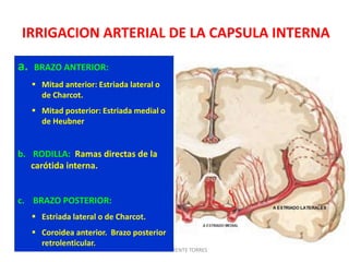 IRRIGACION ARTERIAL DE LA CAPSULA INTERNA
DAVID SUMERENTE TORRES
a. BRAZO ANTERIOR:
 Mitad anterior: Estriada lateral o
de Charcot.
 Mitad posterior: Estriada medial o
de Heubner
b. RODILLA: Ramas directas de la
carótida interna.
c. BRAZO POSTERIOR:
 Estriada lateral o de Charcot.
 Coroidea anterior. Brazo posterior
retrolenticular.
 