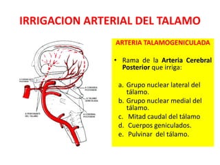 IRRIGACION ARTERIAL DEL TALAMO
ARTERIA TALAMOGENICULADA
• Rama de la Arteria Cerebral
Posterior que irriga:
a. Grupo nuclear lateral del
tálamo.
b. Grupo nuclear medial del
tálamo.
c. Mitad caudal del tálamo
d. Cuerpos geniculados.
e. Pulvinar del tálamo.
 