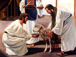 18 as duas leis e os dois sábados