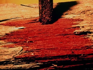 18 as duas leis e os dois sábados