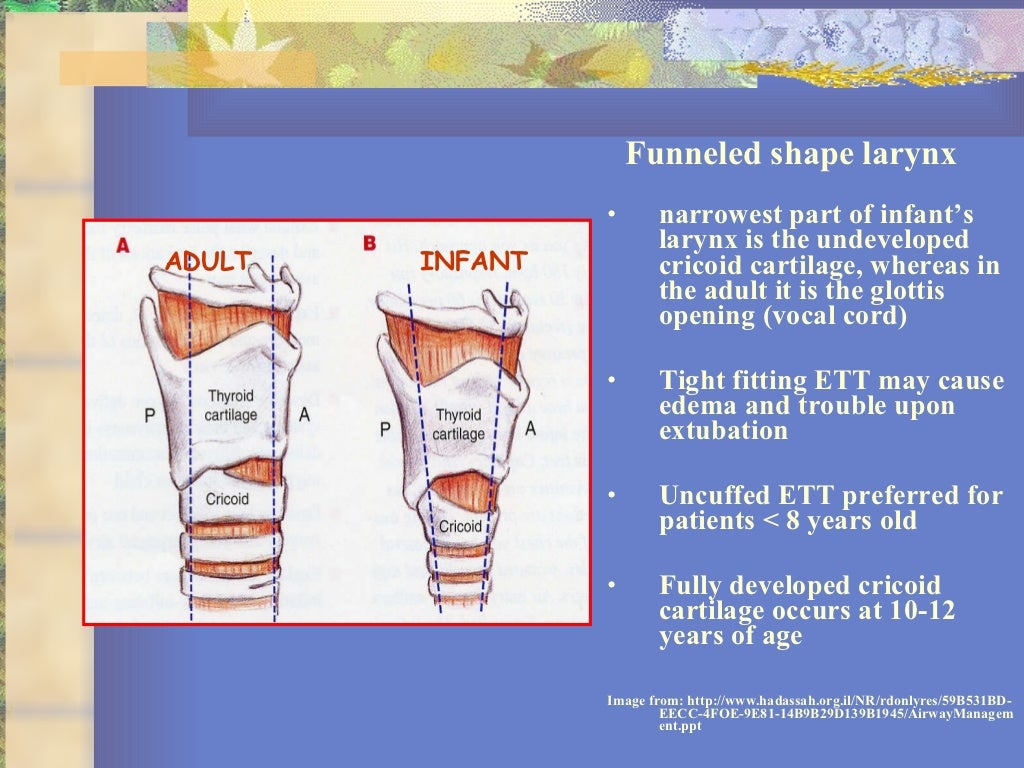 18 basics of pediatric airway anatomy, physiology and management