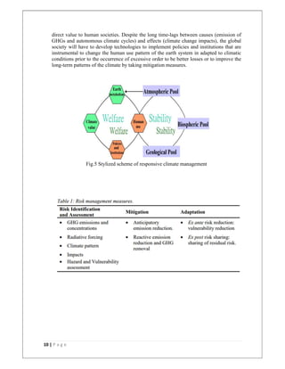 Climate Risk Management | PDF