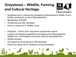 Greystones – Wildlife, Farming
and Cultural Heritage.
• Greystones farm is owned and managed by Gloucestershire Wildlife Trust a
Charity covering the county of Gloucestershire.
• Membership of 28,000.
• 40 staff and over 500 volunteers.
• Part of a network of 47 Wildlife Trusts.
• Greystone – Faune, Flore, Agriculture et patrimoine culturel
• La ferme de Greystone appartient et est gérée par le Gloucestershire
Wildlife trust, une fondation couvrant le comté du Gloucestershire
• 28 000 membres
• Une équipe de 40 personnes et 500 bénévoles
• Partie d’un réseau de 47 fondations environnementales
 