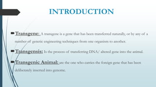 INTRODUCTION
Transgene: A transgene is a gene that has been transferred naturally, or by any of a
number of genetic engineering techniques from one organism to another.
Transgensis: Is the process of transferring DNA/ altered gene into the animal.
Transgenic Animal: are the one who carries the foreign gene that has been
deliberately inserted into genome.
 