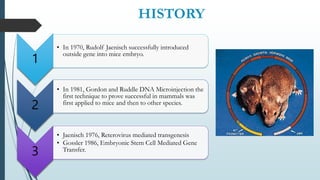 HISTORY
1
• In 1970, Rudolf Jaenisch successfully introduced
outside gene into mice embryo.
2
• In 1981, Gordon and Ruddle DNA Microinjection the
first technique to prove successful in mammals was
first applied to mice and then to other species.
3
• Jaenisch 1976, Reterovirus mediated transgenesis
• Gossler 1986, Embryonic Stem Cell Mediated Gene
Transfer.
 