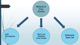 Methods of
Gene
Transfer
DNA
Microinjectio-
n
Retro virus
Mediated
Gene Transfer
Embryonic
Stem Cell
 