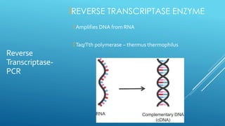 virulence assays - molecular diagnostic techniques | PDF