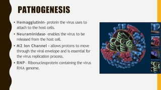 Protons Virus Influenza virus, types and its treatment | PDF