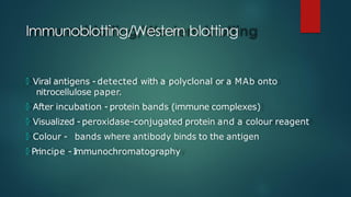 Immunoblotting/Western blotting
🞅 Viral antigens - detected with a polyclonal or a MAb onto
nitrocellulose paper.
🞅 After incubation - protein bands (immune complexes)
🞅 Visualized - peroxidase-conjugated protein and a colour reagent
🞅 Colour - bands where antibody binds to the antigen
🞅 Principe - I
mmunochromatography
 
