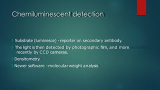 Chemiluminescent detection
🞅 Substrate (luminesce) - reporter on secondary antibody.
🞅 The light is then detected by photographic film, and more
recently by CCD cameras.
🞅 Densitometry.
🞅 Newer software - molecularweight analysis
 