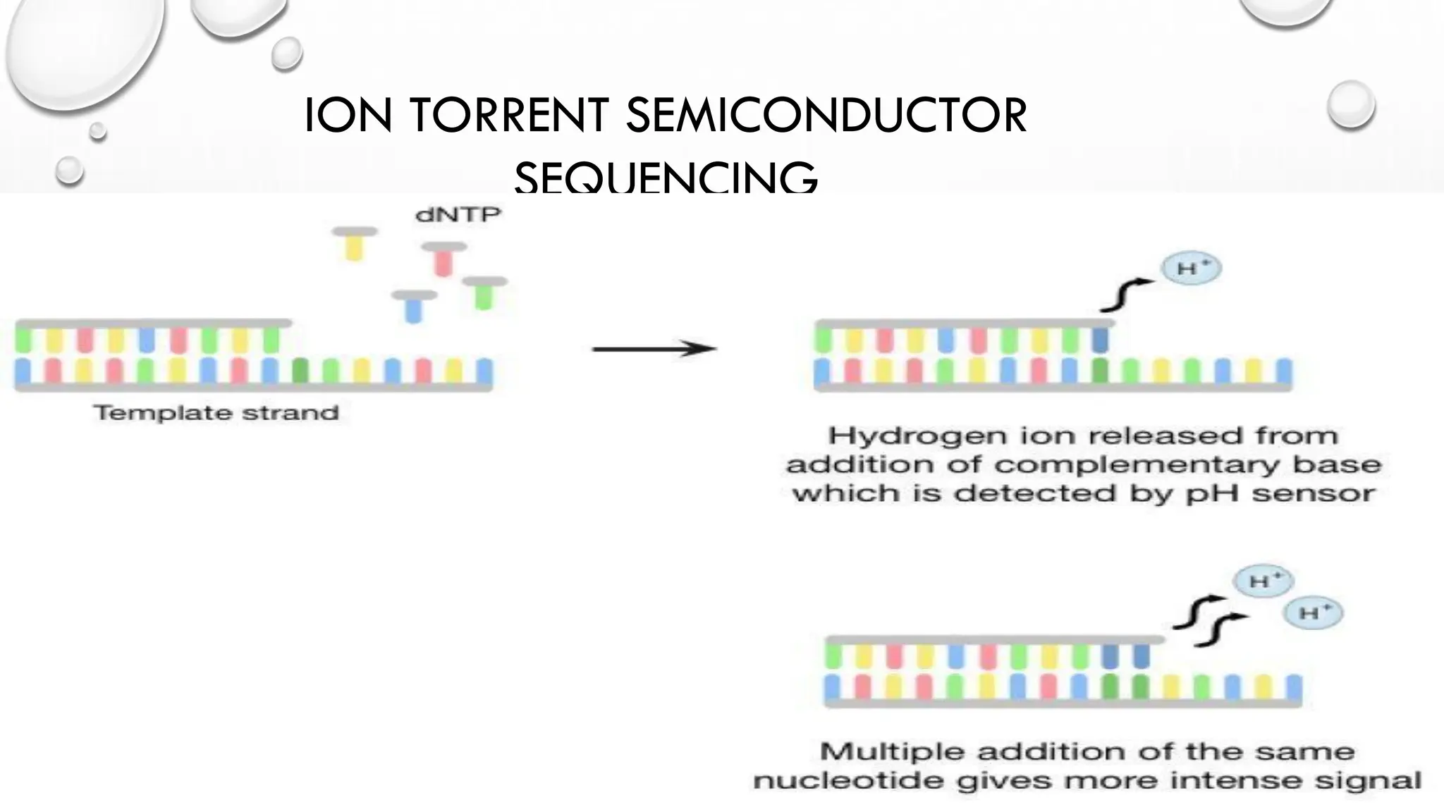 ION TORRENT SEMICONDUCTOR
SEQUENCING
 