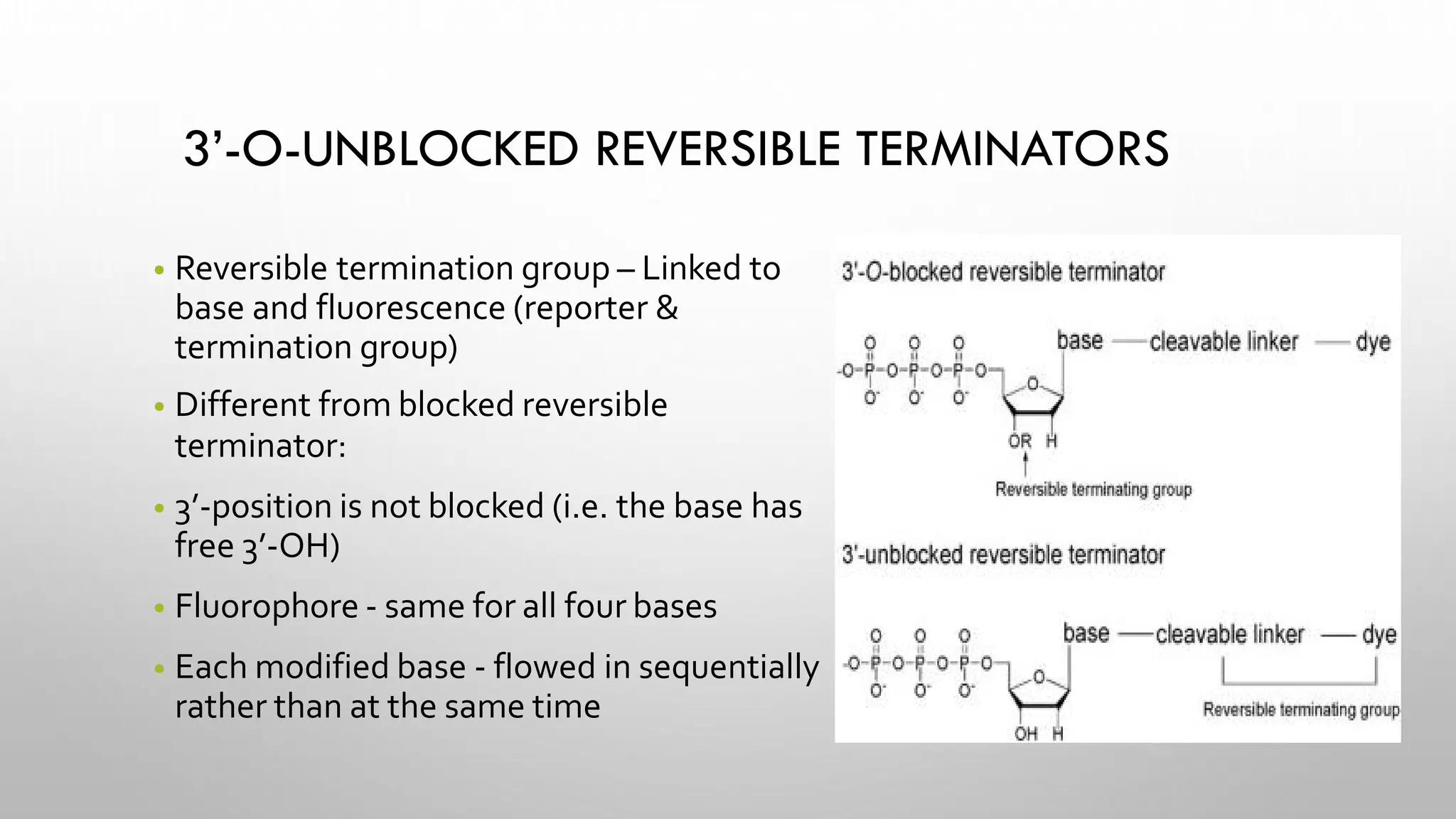 3’-O-UNBLOCKED REVERSIBLE TERMINATORS
• Reversible termination group – Linked to
base and fluorescence (reporter &
termination group)
• Different from blocked reversible
terminator:
• 3’-position is not blocked (i.e. the base has
free 3’-OH)
• Fluorophore - same for all four bases
• Each modified base - flowed in sequentially
rather than at the same time
 