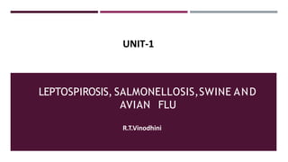 LEPTOSPIROSIS, SALMONELLOSIS,SWINE AND
AVIAN FLU
UNIT-1
R.T.Vinodhini
 