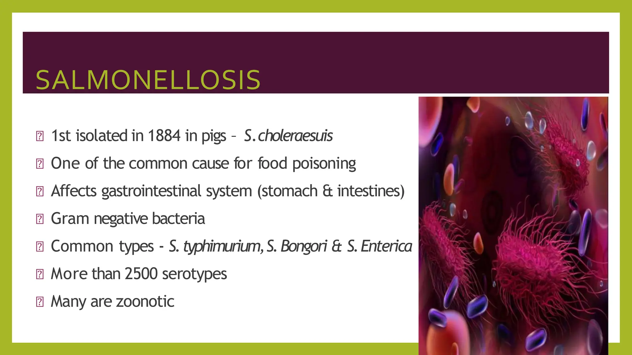leptospirosis, salmonellosis, swine flu and avian flu | PDF