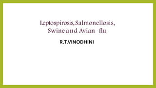 Leptospirosis,Salmonellosis,
Swine and Avian flu
R.T.VINODHINI
 