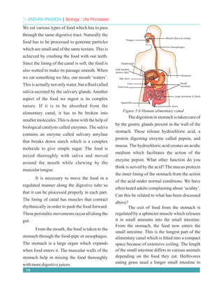 Class 10 Biological Science Textbook NCERT | PDF