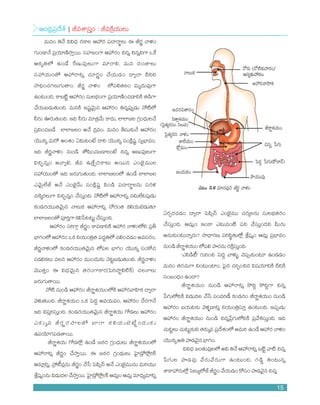 Class 10 Biological Science Textbook NCERT | PDF