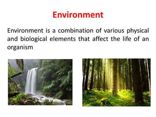 Environment
Environment is a combination of various physical
and biological elements that affect the life of an
organism
 