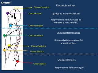 Chacra Básico
Chacra Esplênico
Chacra Gástrico
Chacra Cardíaco
Chacra Laríngeo
Chacra Frontal
Chacra Coronário
Chacras
Chacras Inferiores
Chacras Superiores
Ligados ao mundo espiritual.
Responsáveis pelas funções do
intelecto e pensamento.
Chacras Intermediários
Responsáveis pelas emoções
e sentimentos.
Responsáveis pelas sensações.
 