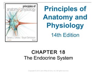 CHAPTER 18
The Endocrine System
Principles of
Anatomy and
Physiology
14th Edition
Copyright © 2014 John Wiley & Sons, Inc. All rights reserved.
 