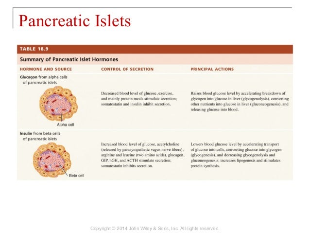 18 [chapter 18 the endocrine system]