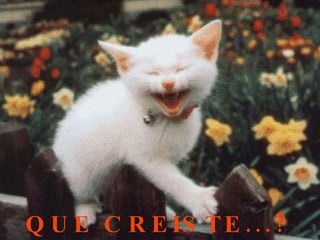 Q U E C R E IS T E . . . ?
 