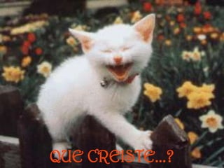 QUE CREISTE...?