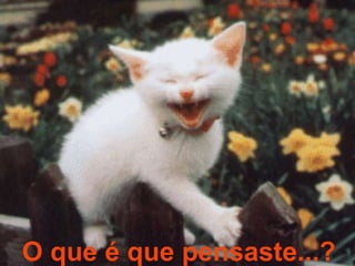 O que é que pensaste...?
 
