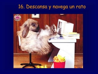 16. Descansa y navega un rato