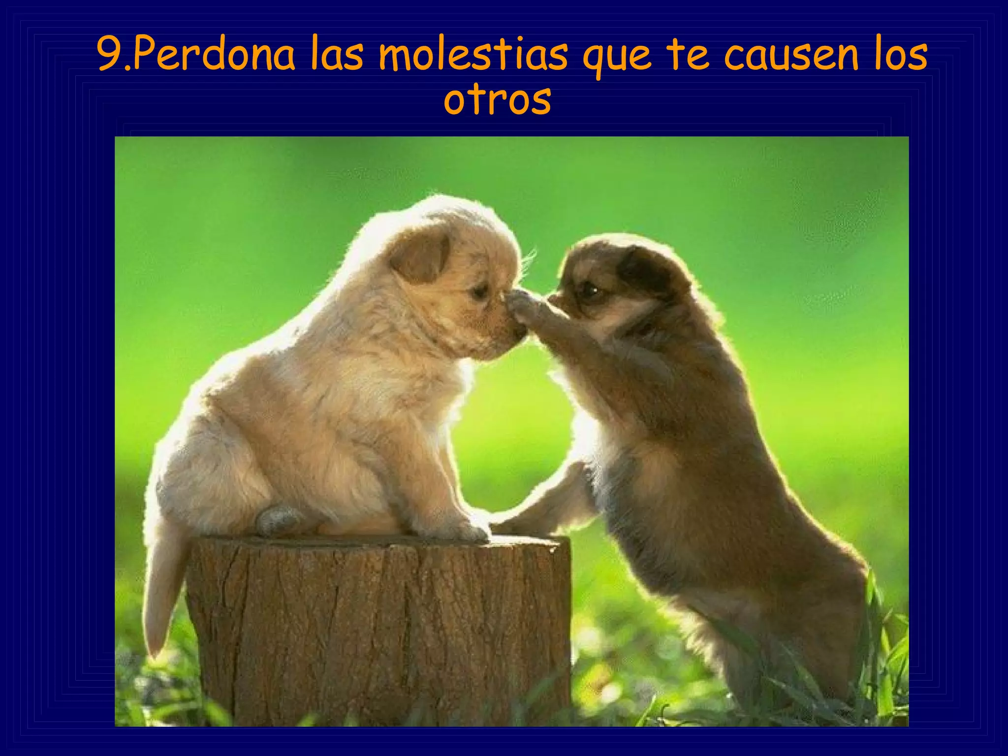 9.Perdona las molestias que te causen los otros