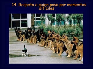     14. Respeta a quien pasa por momentos
difíciles
 